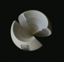 SHELL HALVES<br />
<b>2008</b><br />
porcelain, transparent glaze<br />
<br />
<br />
*sold