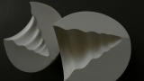 SHELL HALVES (detail)<br />
<b>2008</b><br />
porcelain, transparent glaze<br />
<br />
<br />
*available for sale